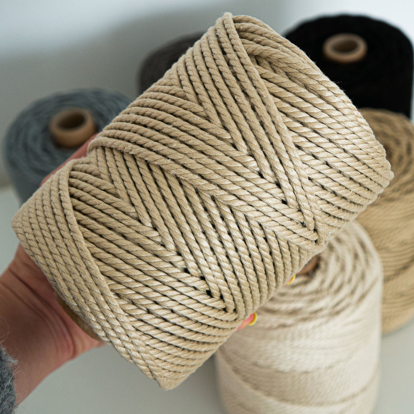 Verdrehte Schnur für den Außenbereich / 4mm / 100m