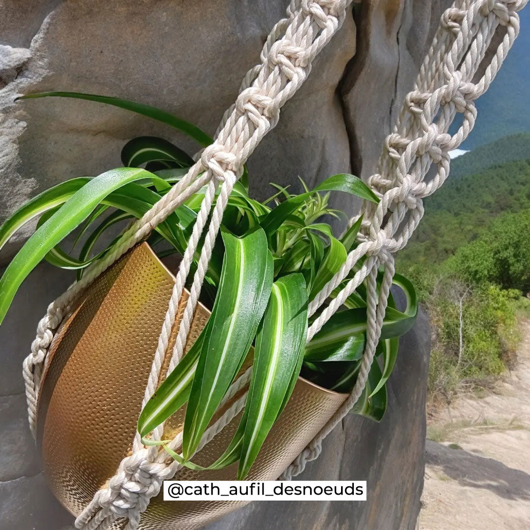Corda nautica da 14 mm, corda di cotone color naturale, corda spessa intrecciata per decorazioni, artigianato, forniture per decorazioni nautiche / 5 iarde = 4,6 m - Italia Corda nautica da 14 mm, corda di cotone color naturale, corda spessa intrecciata per decorazioni, artigianato, forniture per decorazioni nautiche / 5 iarde = 4,6 m - Italia